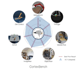 Where are we in the search for an Artificial Visual Cortex for Embodied Intelligence?